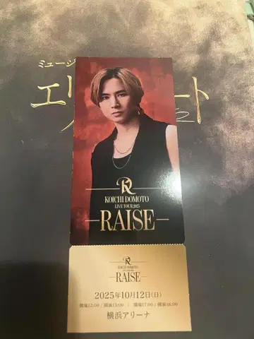 도모토 코이치 메모리얼 티켓 RAISE 회장 한정판