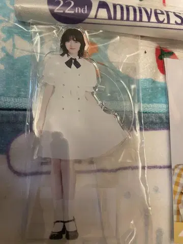 하야시 루나 생탄 아크릴 스탠드 외 노기자카46
