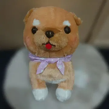 콩시바 삼형제 폭신폭신 꿈의 나라
