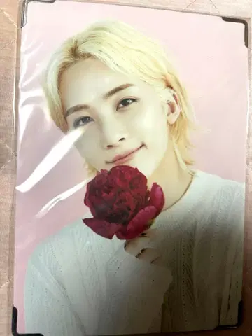 세븐틴 정한 프리미엄 사진