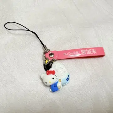 지역 한정 키티 미야기 쌀