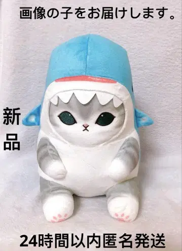 mofusand 바다 생물냥 BIG 봉제 인형 진베이 상어