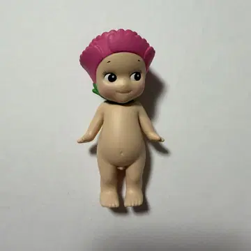 소니 엔젤 플라워 시리즈 카네이션