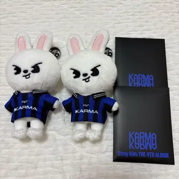 stray kids karma 리노 리비트