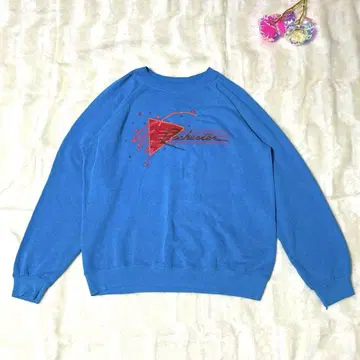 Hanes 헤인즈 80s USA제 맨투맨
