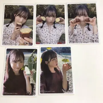 AKB48 오구리 유이의 브로마이드입니다.