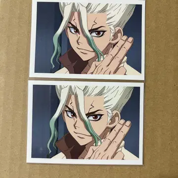 닥터 스톤 Dr.STONE 아모카페 콜라보 카페 센쿠