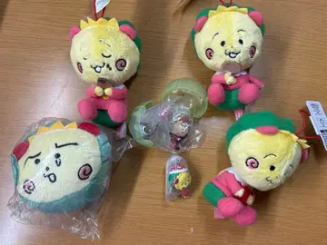 코지코지 세트