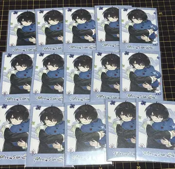 앙스타 동심진장 중국 폴라로이드 린츠 15장 세트