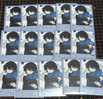 앙스타 동심진장 중국 폴라로이드 린츠 15장 세트