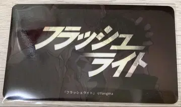 J정원 J.GARDEN58 BeLTOON 플래시 라이트
