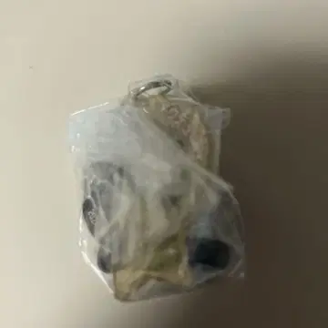 아이돌 호스 미니 컬렉션 41 두두스