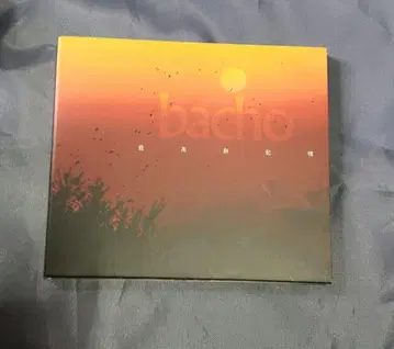 bacho - 최고신기억