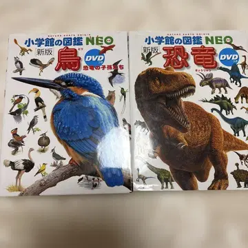 초등학교 도감 NEO 새 공룡 move 동물 도감 3권 세트
