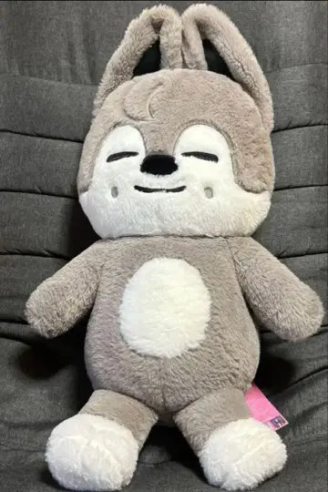 울프찬 테디베어 skzoo 여권 택 포함