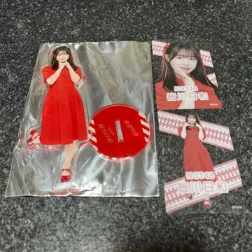 NGT48 극장 복권 미나카와 히요리 하이 터치회 ver2 아크릴 스탠드
