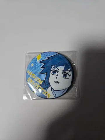 귀멸의 칼날 기둥 전시회 에모셔널 캔뱃지 토미오카 기유