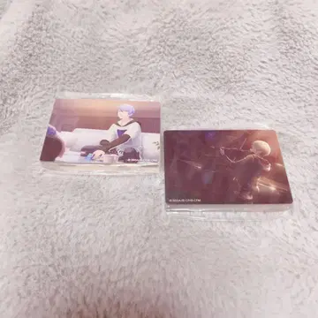 프로세카 아오야기 토야 노블 아트