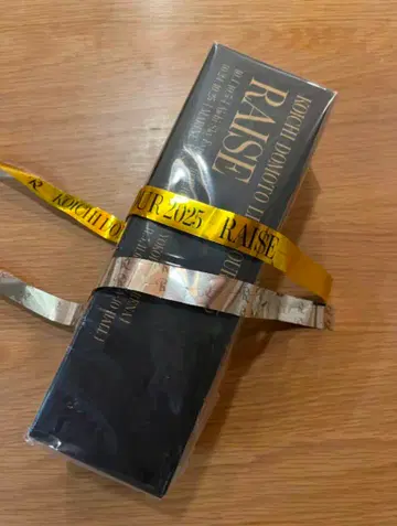 KOICHI DOMOTO LIVE TOUR 2025 RAISE 응원봉