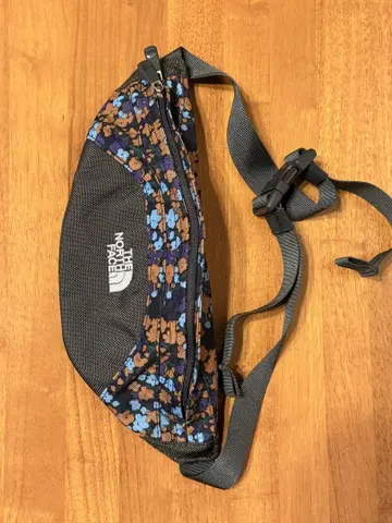 THE NORTH FACE 바디백