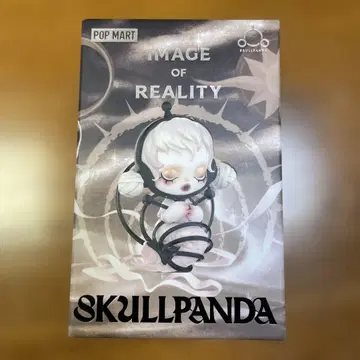 POP MART SKULLPANDA Image of Reality
