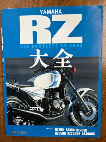RZ 대전
