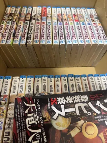 원피스 단행본
