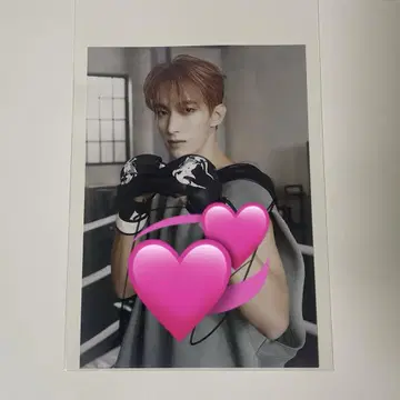 세븐틴 FML 멤버 지정 사인 포함 친필 개인 브로마이드 도겸