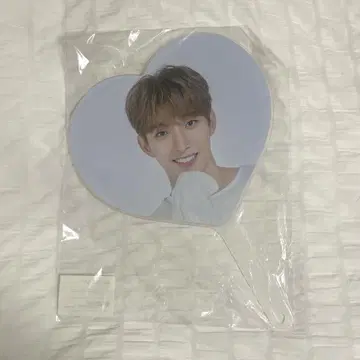 세븐틴 2020 CARAT LAND 케렌 도겸 부채