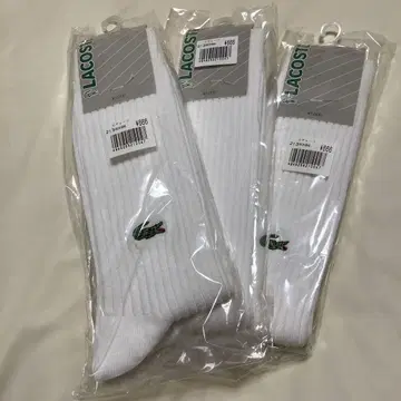 LACOSTE 화이트 양말 3켤레 세트 25~27cm