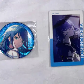 프로젝트 세카이 프로세카 호시노 이치카 에피카 금박 19C 그리캔 32C