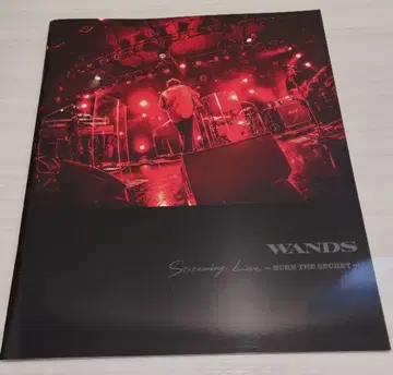 WANDS Screaming Live 팜플렛