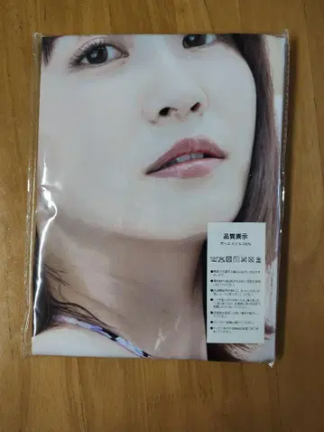 키시 아스카 태피스트리 등신대 사이즈