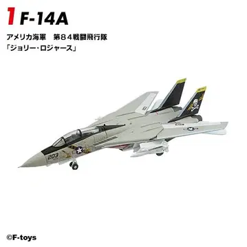 F-14A 조리 로저스 톰캣 메모리즈 3