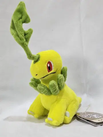 포켓몬 센터 오리지널 봉제 인형 Pokemon fit 베이리프