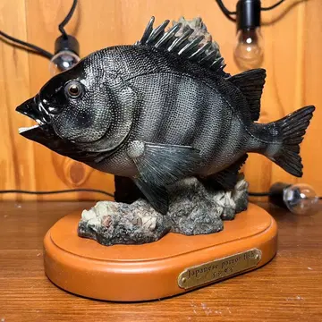 [ 절판 레어템 ] 페이보릿 이시다이 돌돔 피규어