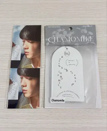 코이즈미 히카루 사키 Fragrance tag 트레이딩 카드 2장 포함