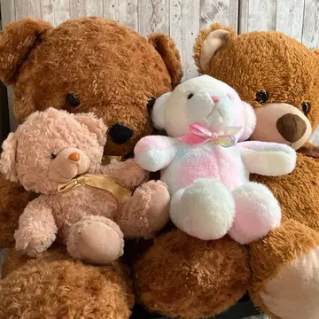 곰 봉제 인형 세트 ( 대중소 )
