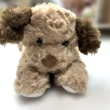 강아지 봉제 인형