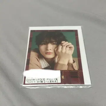 초특급 하루 키라리 스크래치