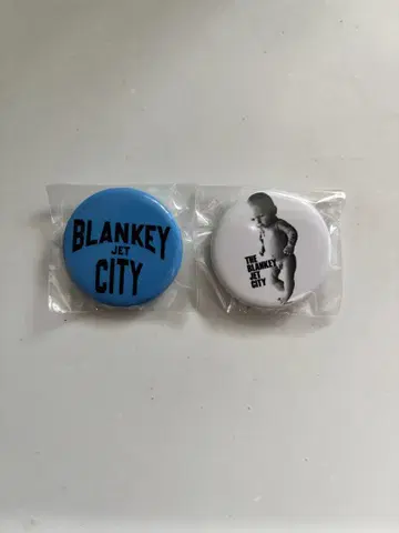 BLANKEY JET CITY 핀 배지 세트