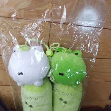 다음날 케로리 부츠 키퍼