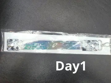 트위스테 브레이징 주얼 회장 참 DAY1