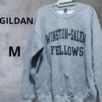 인기 GILDAN 속기모 맨투맨 WINSTON-SALEM 칼리지 로고 M