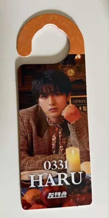 EBiDAN THE LIVE 2025 초특급 하루 도어 플레이트