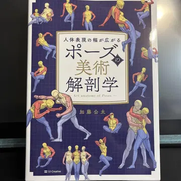 포즈의 미술 해부학