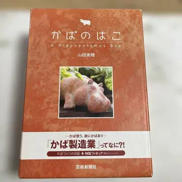 하마 상자 A Hippopotamus Box 야마다 미호 예술신문사