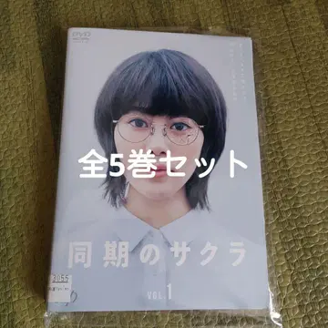 동기 사쿠라 DVD 전 5권 세트 타카하타 미츠키