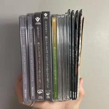 영 스키니 CD