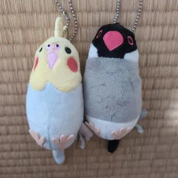 모노콤사 오카메앵무 사쿠라 문조